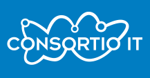 Consortio-IT-Partner-logo