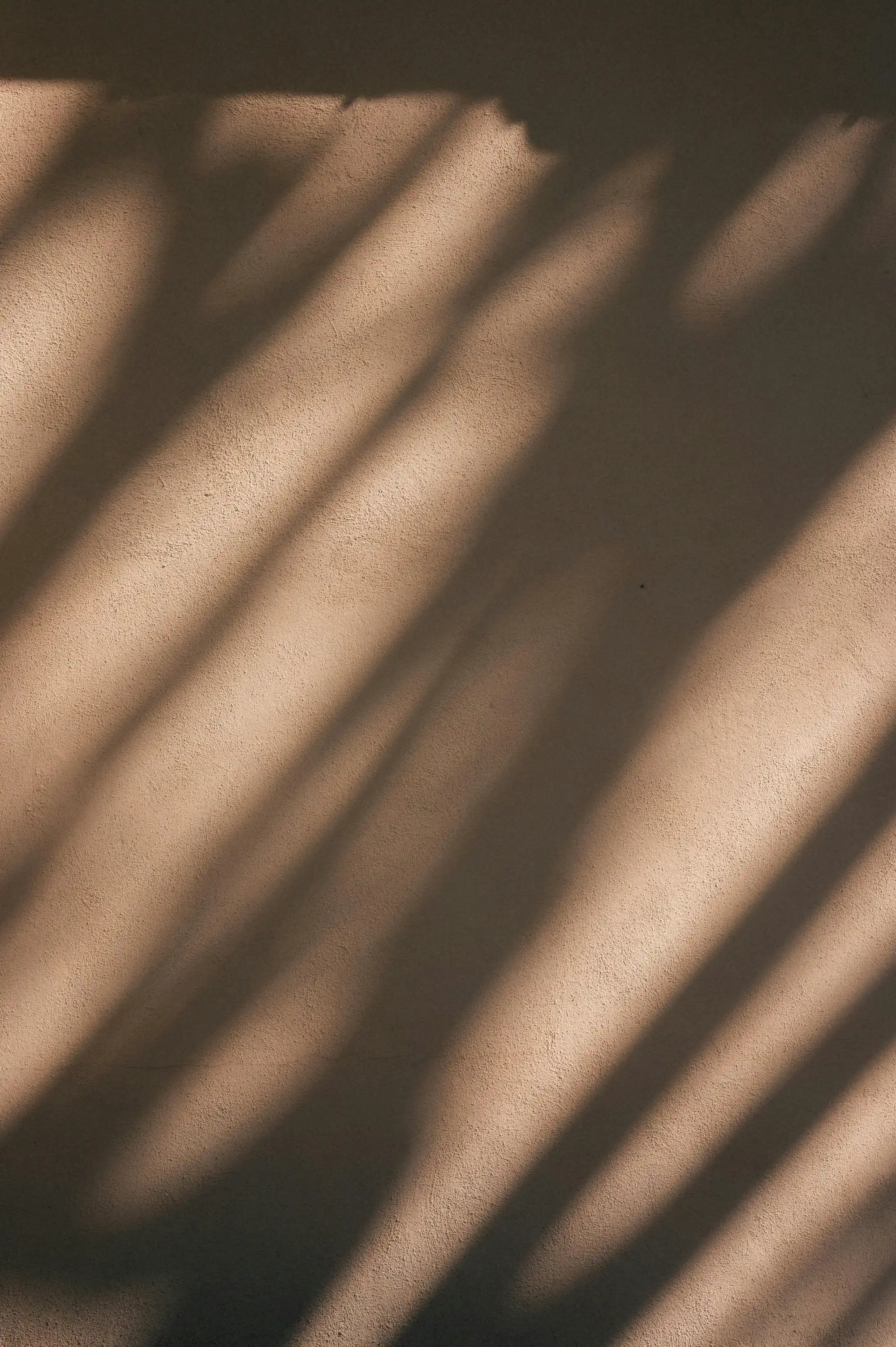 pexels-didsss-33312289